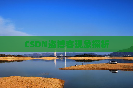 CSDN盗博客现象探析 CSDN盗博客现象探析